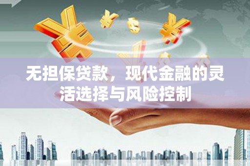 分宜无担保贷款，现代金融的灵活选择与风险控制