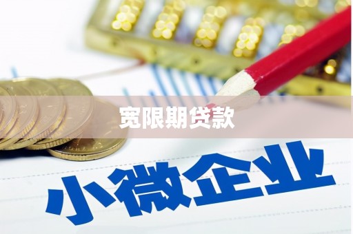 分宜宽限期贷款