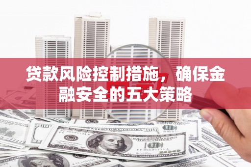 分宜贷款风险控制措施，确保金融安全的五大策略