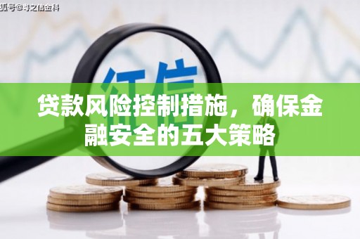 分宜贷款风险控制措施，确保金融安全的五大策略