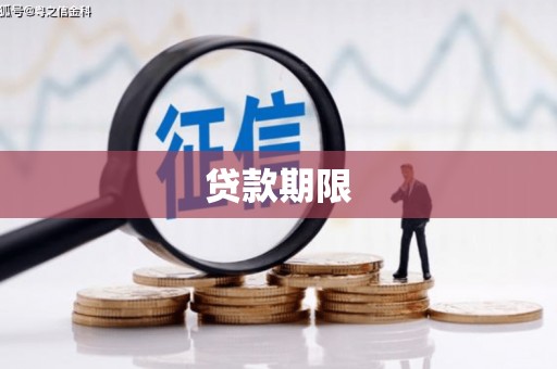 分宜贷款期限