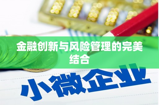 分宜金融创新与风险管理的完美结合
