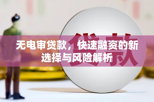 分宜无电审贷款，快速融资的新选择与风险解析