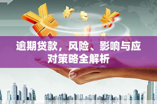 分宜逾期贷款，风险、影响与应对策略全解析