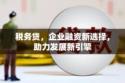 分宜税务贷，企业融资新选择，助力发展新引擎