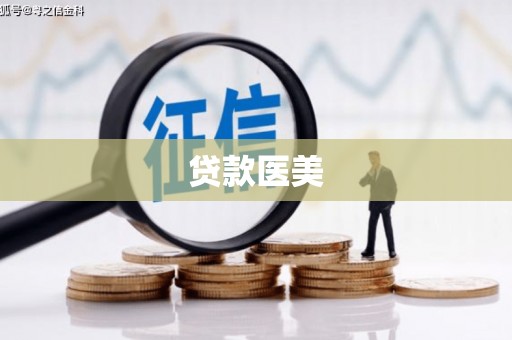 分宜贷款医美
