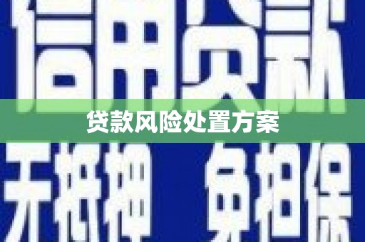 分宜贷款风险处置方案
