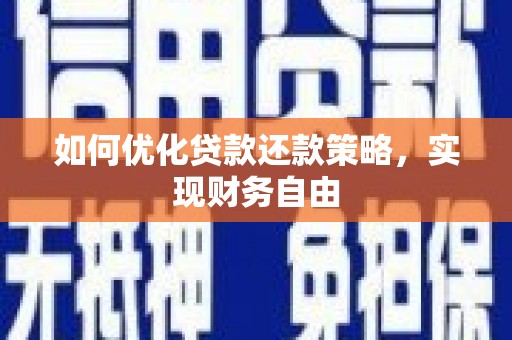 分宜如何优化贷款还款策略，实现财务自由