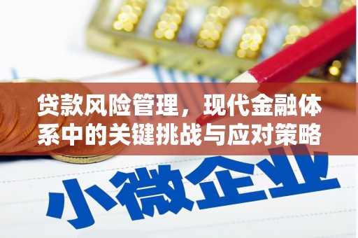 分宜贷款风险管理，现代金融体系中的关键挑战与应对策略