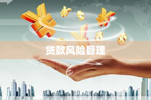 分宜贷款风险管理