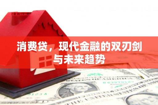 分宜消费贷，现代金融的双刃剑与未来趋势