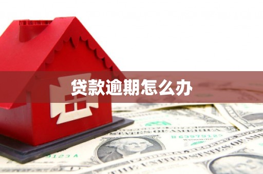分宜贷款逾期怎么办