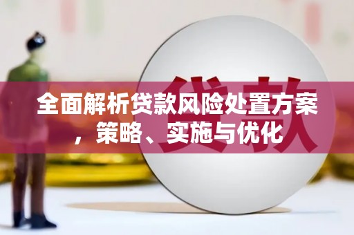 分宜全面解析贷款风险处置方案，策略、实施与优化