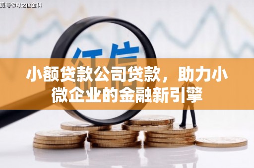 分宜小额贷款公司贷款，助力小微企业的金融新引擎