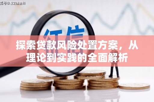 分宜探索贷款风险处置方案，从理论到实践的全面解析