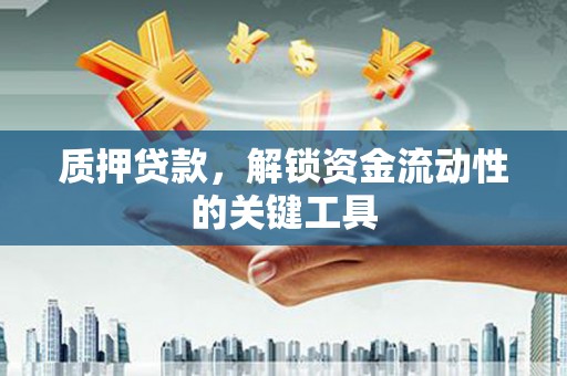 分宜质押贷款，解锁资金流动性的关键工具
