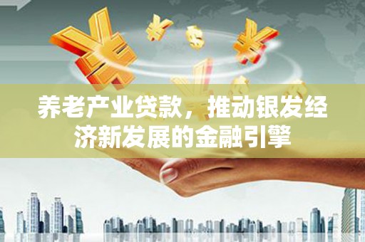 分宜养老产业贷款，推动银发经济新发展的金融引擎