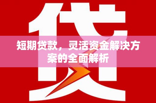 分宜短期贷款，灵活资金解决方案的全面解析