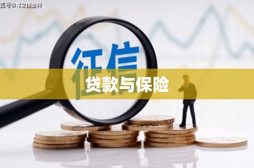 分宜贷款与保险