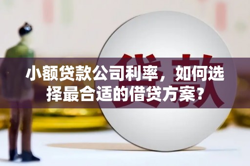 分宜小额贷款公司利率，如何选择最合适的借贷方案？