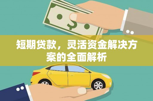分宜短期贷款，灵活资金解决方案的全面解析