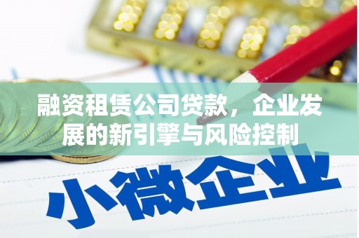 分宜融资租赁公司贷款，企业发展的新引擎与风险控制