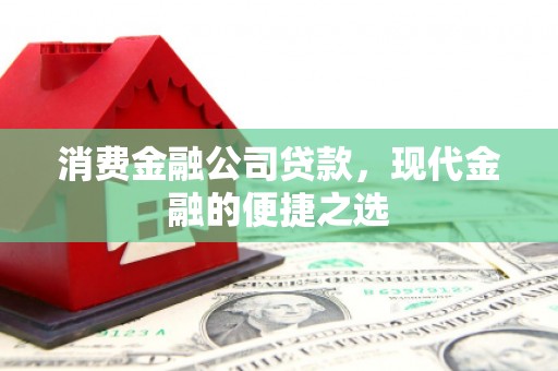 分宜消费金融公司贷款，现代金融的便捷之选
