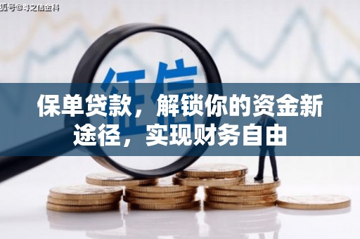 分宜保单贷款，解锁你的资金新途径，实现财务自由
