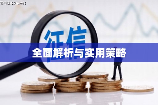 分宜全面解析与实用策略