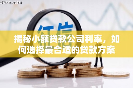 分宜揭秘小额贷款公司利率，如何选择最合适的贷款方案
