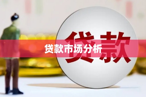 分宜贷款市场分析