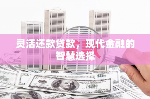 分宜灵活还款贷款，现代金融的智慧选择