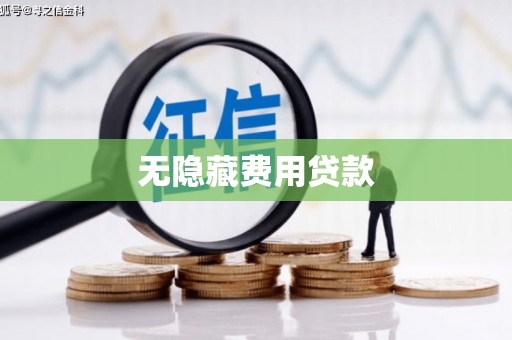分宜无隐藏费用贷款