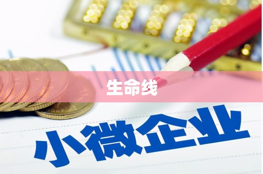 分宜生命线