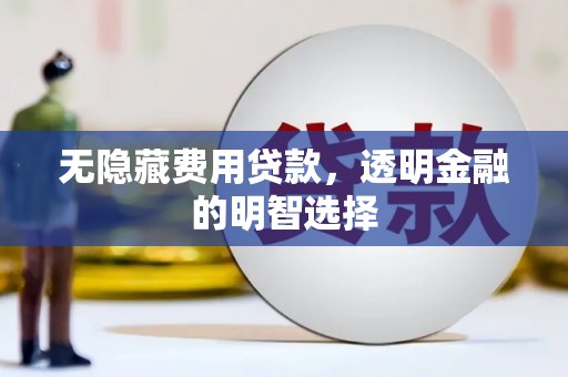 分宜无隐藏费用贷款，透明金融的明智选择