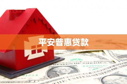 分宜平安普惠贷款