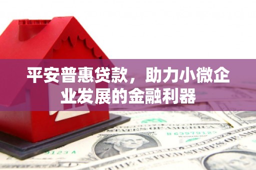分宜平安普惠贷款，助力小微企业发展的金融利器