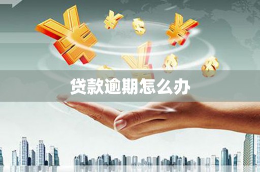 分宜贷款逾期怎么办