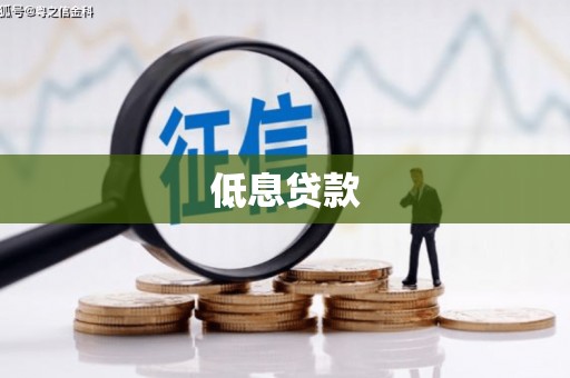 分宜低息贷款