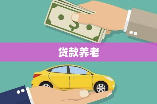 分宜贷款养老