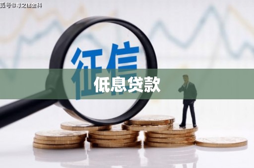 分宜低息贷款
