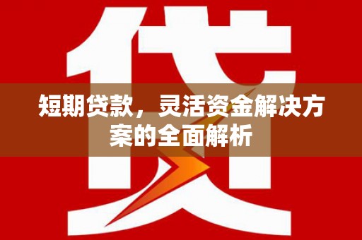 分宜短期贷款，灵活资金解决方案的全面解析