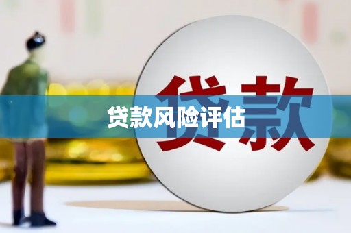 分宜贷款风险评估