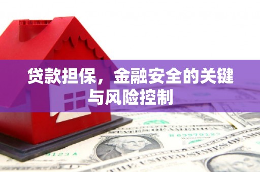 分宜贷款担保，金融安全的关键与风险控制