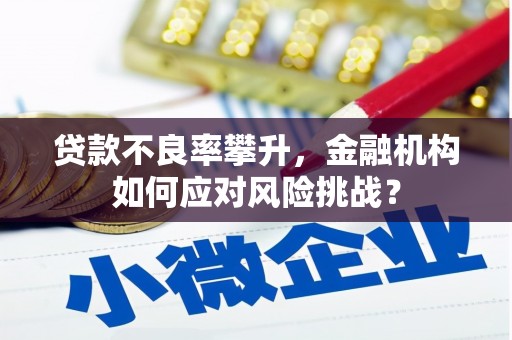分宜贷款不良率攀升，金融机构如何应对风险挑战？