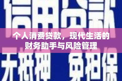 分宜个人消费贷款，现代生活的财务助手与风险管理