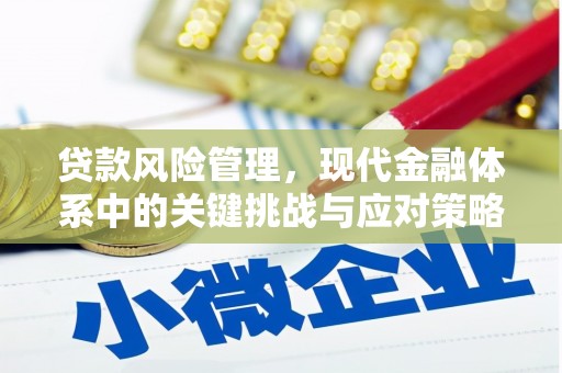 分宜贷款风险管理，现代金融体系中的关键挑战与应对策略