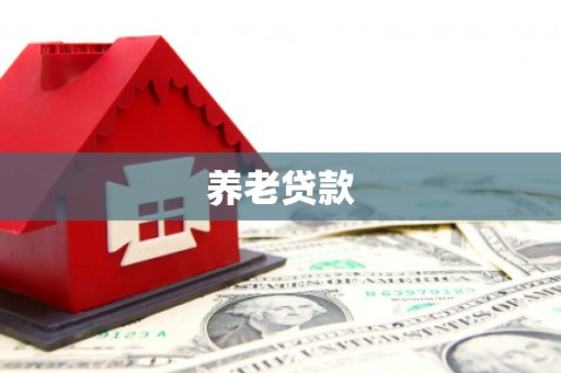 分宜养老贷款
