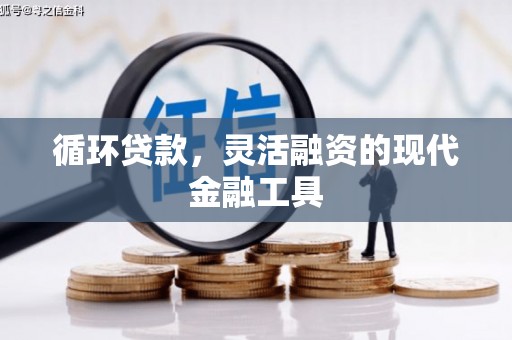 分宜循环贷款，灵活融资的现代金融工具