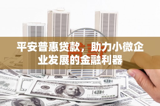 分宜平安普惠贷款，助力小微企业发展的金融利器
